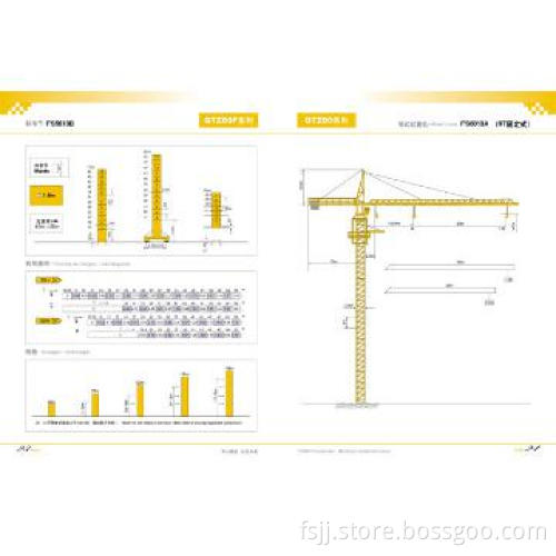 2013 NEW FS6013 Tower Crane